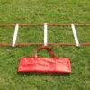 Sidelines Adjustable Speed Training Ladder